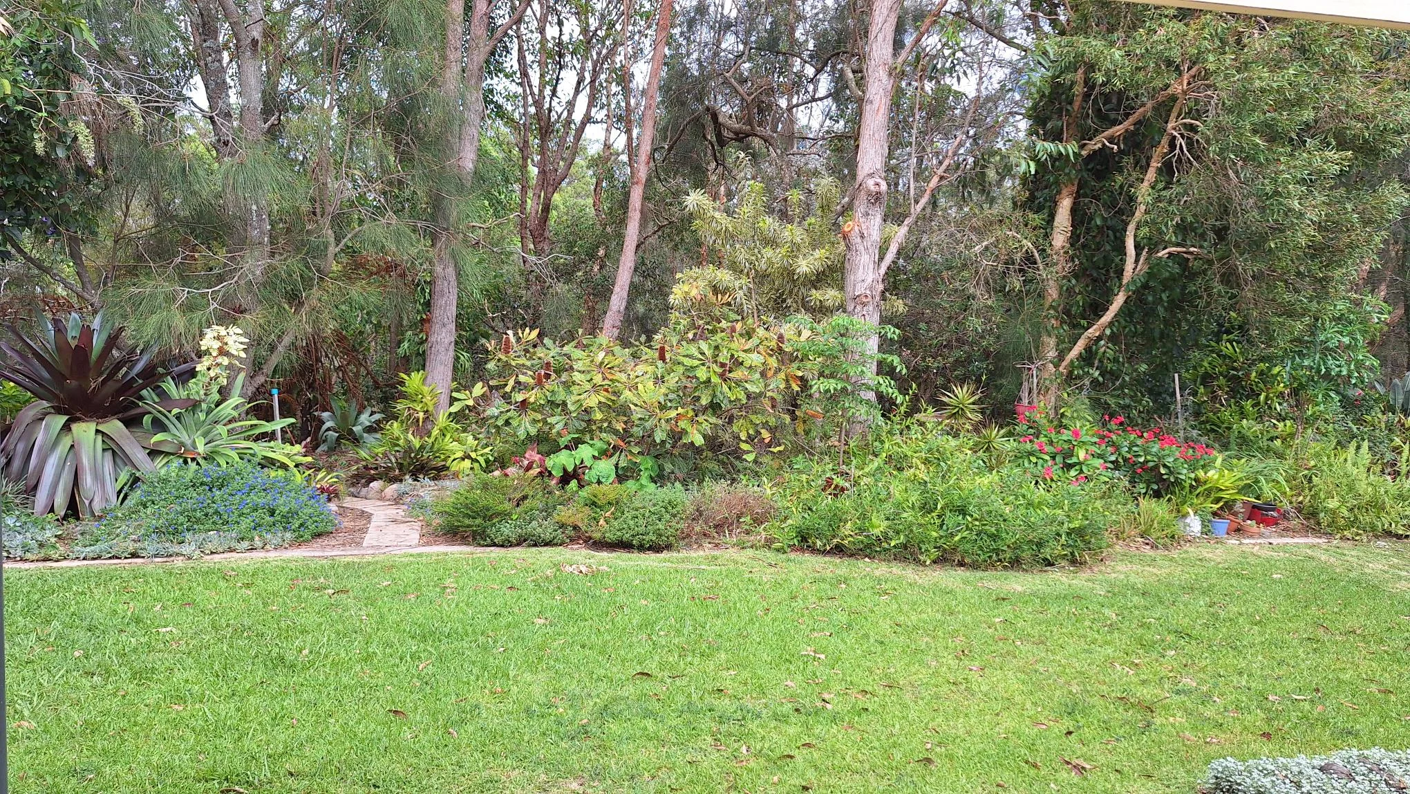 Lush garden view at Creekside Coastal Living in Sundale retirement community.